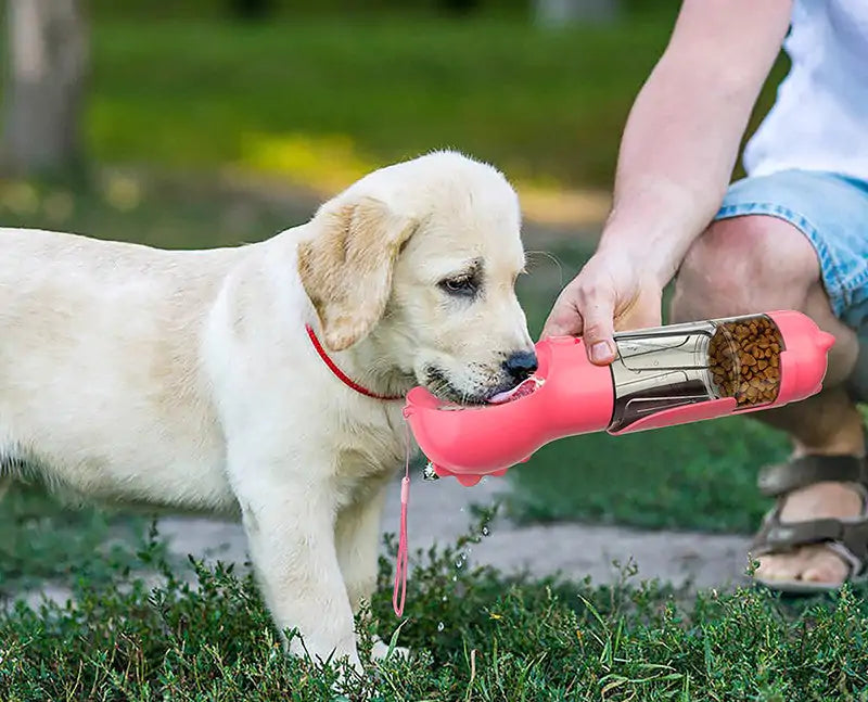 "HydroPaws Portable Pet Water Bottle – Leak-Proof Travel Hydration for Pets"